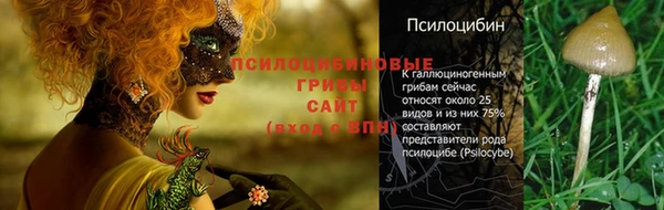 МДМА Куйбышев
